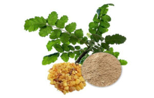 Boswellia Extract