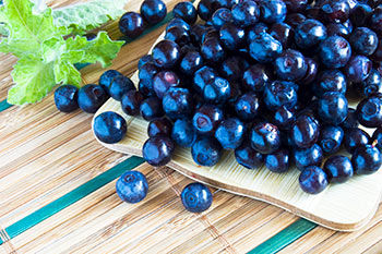 Bilberry Extract