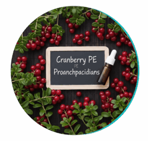 Cranberries (Cranberry Extract or Powder)