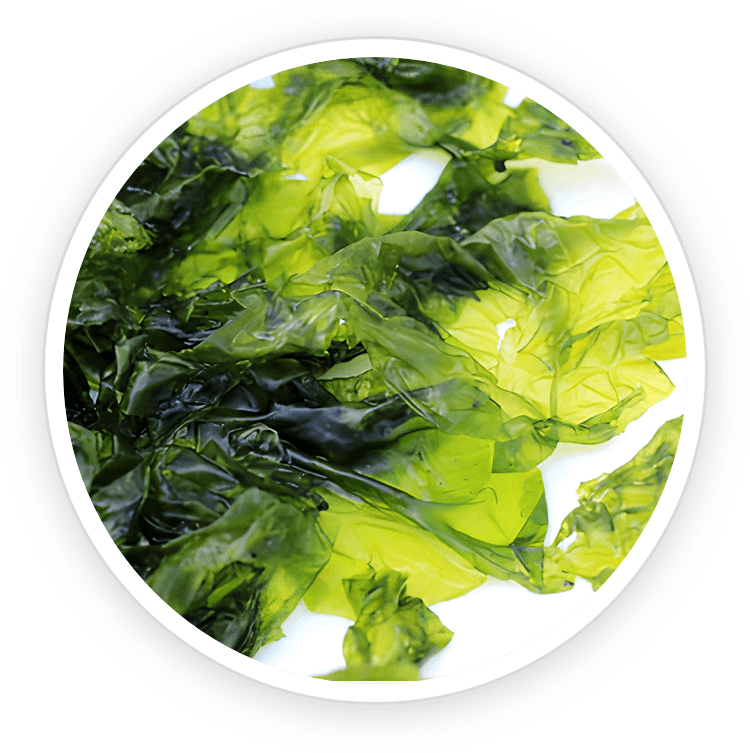 Nori Yaki Extract Powder