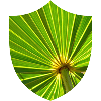 Prosta Defend - Saw Palmetto