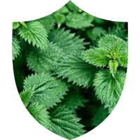 Prosta Defend - Stinging Nettle