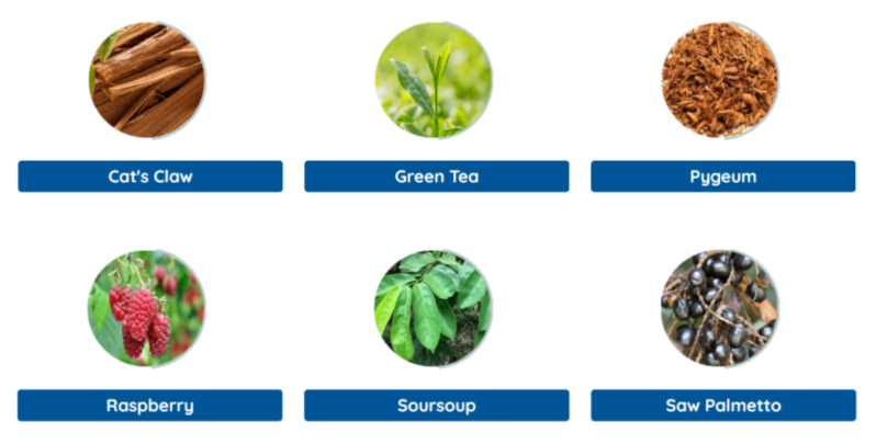 Prosta Peak Ingredients